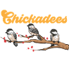 Bird Chickadee Bird Watching
