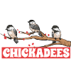 Bird Chickadee Bird Watching