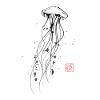 meduse