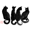 4 Katzen