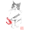 cat and shrimp