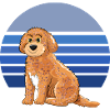 Cockapoo Retro Blue