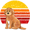 Cockapoo Retro