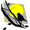Bird with sun