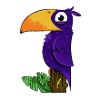 Toucan