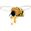 Safe the Bees