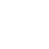 Schwinger Papa