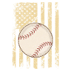 July 4th Baseball US Flag
