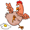 Funny Chicken - Poulets fermiers