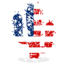 July 4th Cactus US Flag