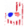 July 4th Cat US Flag