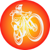 Triathlon Natation Bike Run Marathon