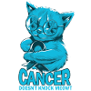 Cancer Cat Prostate Cancer