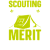 Boy Scout Merit