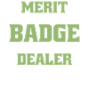 Boy Scout Merit