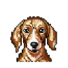 Duke