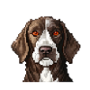 Cooper