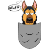 Schäferhund in Brusttasche, lustig