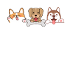 Chiots mignons