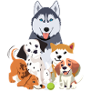 Funny Hunde Team