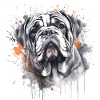 Bulldog anglais