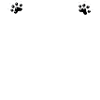 Cute cat design