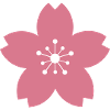 Kirschblüte Japan (dunkles rosa)