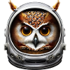 Hibou astronaute