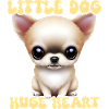 Kleiner Chihuahua mit großem Herzen