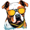 Jok the Bulldog