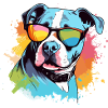 Roxo le bouledogue