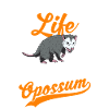 Opossum Gift Possum Marsupial