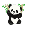 Pandi