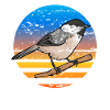 Observation des oiseaux mésanges
