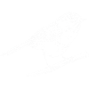 Observation des oiseaux mésanges