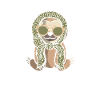 Sloth Sunglasses