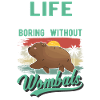 Australischer Wombat