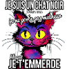 Chat noir