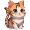 Totally cute kitten