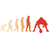 Sport Evolution Flag Football