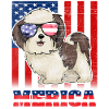 July 4th Dog Merica