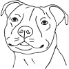 Staffordshire Bullterrier