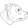 Staffordshire Bullterrier