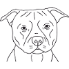 Staffordshire Bullterrier