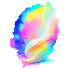 Coquille