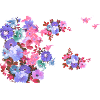 Flowers,Flower,Spring,Blossoms,Pink,Purple