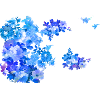 Flowers,Flower,Spring,Blossoms,Blue,Light Blue,Floral