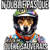Chien sauveteur