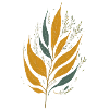 Feuilles
