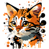 tabby kitten
